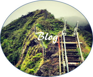 hawaii blog