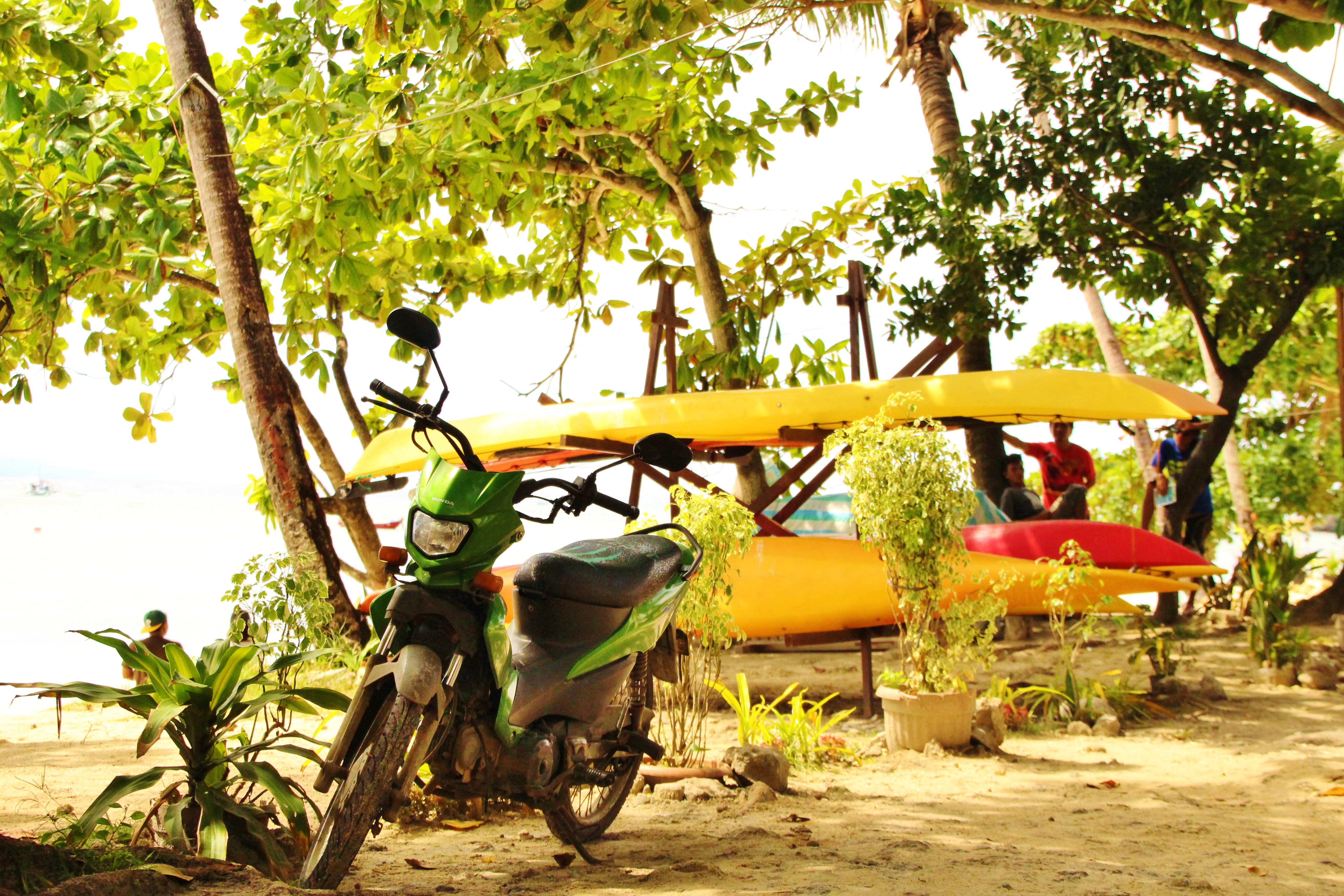 bohol pangloa island alona beach the philippines